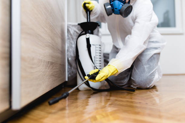 Trusted Perry, OK Pest Control Experts