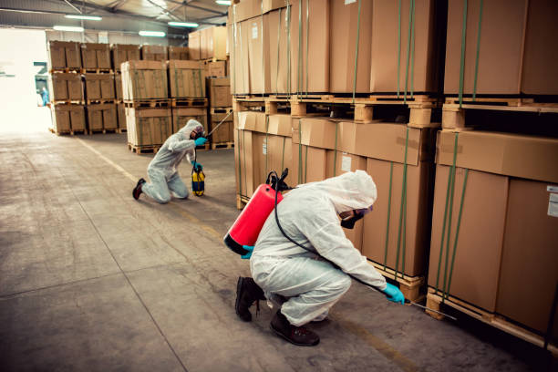 Best Termite Control Services  in Perry, OK