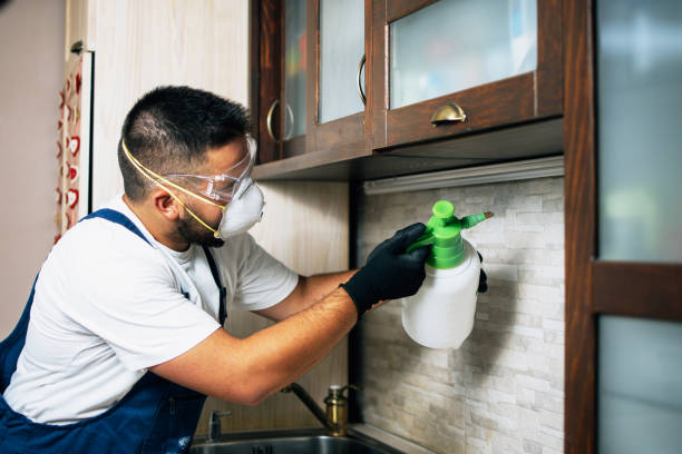 Best Residential Pest Control  in Perry, OK