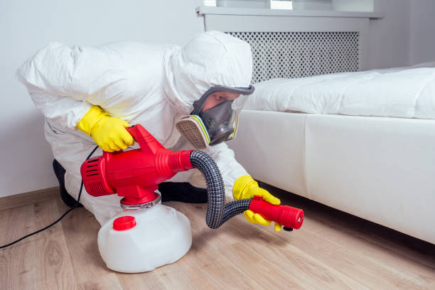 Best Cockroach Control Services  in Perry, OK