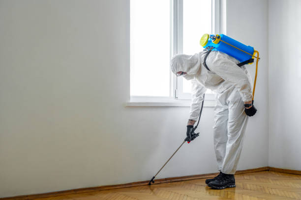 Best Emergency Pest Control  in Perry, OK