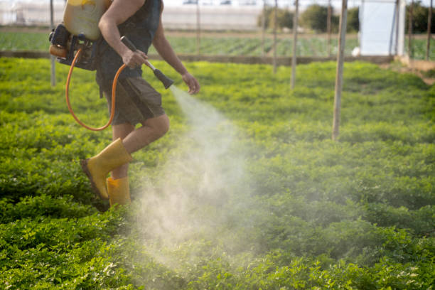 Best Pest Removal Services  in Perry, OK