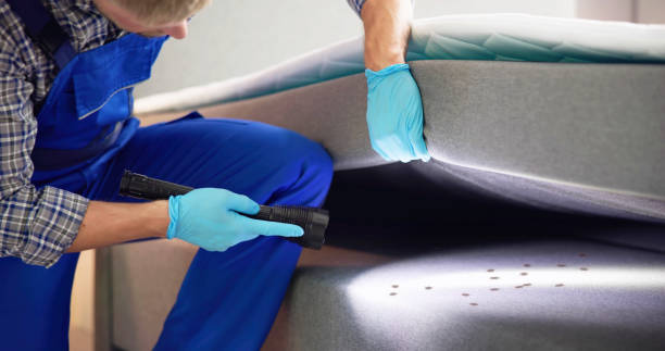 Best Termite Control Services  in Perry, OK