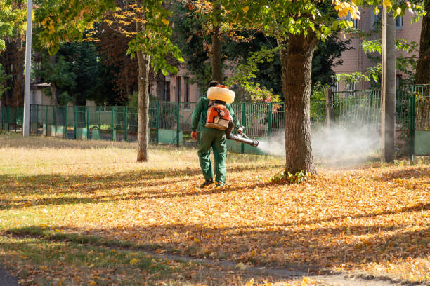 Best Mosquito Control Services  in Perry, OK