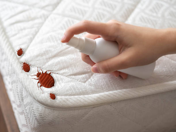 Best Residential Pest Control  in Perry, OK
