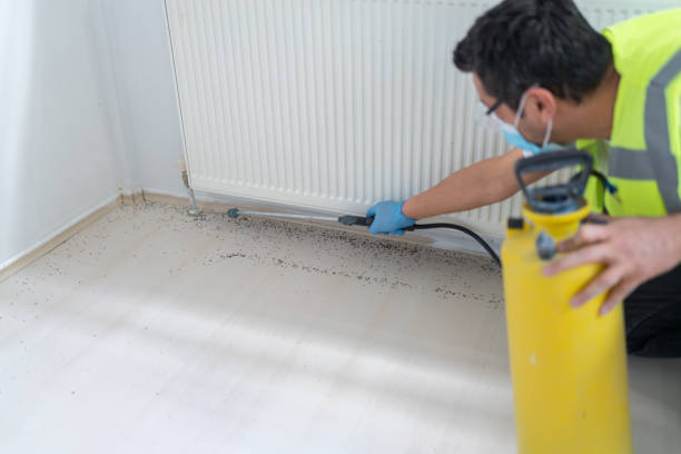 Best Exterminator Services  in Perry, OK