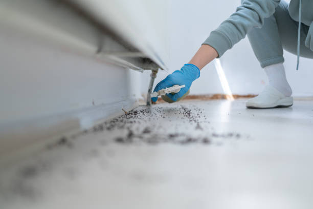 Best Exterminator Services  in Perry, OK