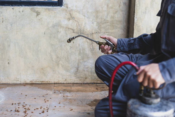 Best Flea Control Services  in Perry, OK